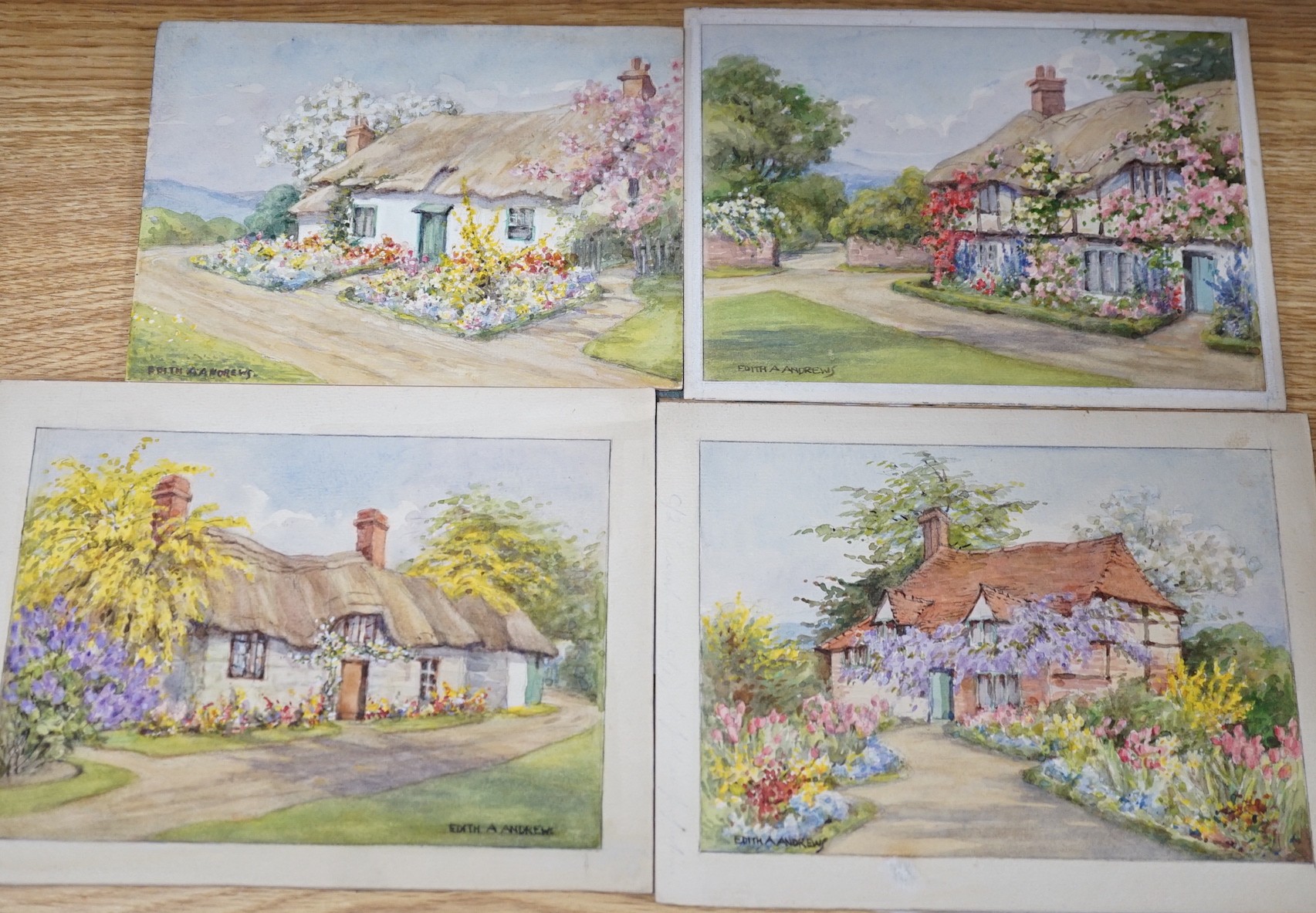 Annie Louise Pressland (1862-1933), four watercolours, Flower studies, designs for greeting cards, largest 23 x 35cm, unframed and Edith Andrews (fl. 1900-1940), six watercolours, original postcard designs, country cotta